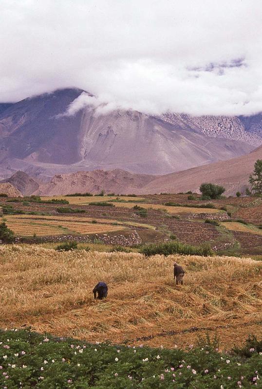 WT 1000 183-24 Nepal.jpg